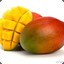 Worlds Largest Mango