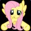 Pony&amp;Floyd