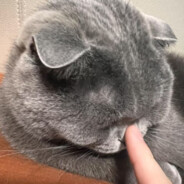 喝咖啡爱咬吸管