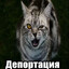 Avatar of player играешь стандоф?