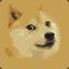 MrDoge