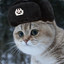 Cat СССР | Evgeniy