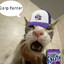 ThePotOfGreed