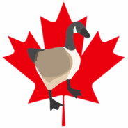 Canadian Goose avatar