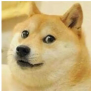 牛逼克拉斯亮晶晶