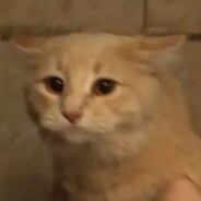 Milo♥