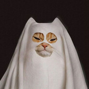 AGGRESSIVE PLAYER PROFILE