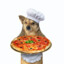 pizza dog