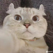 她说是酸奶洒了