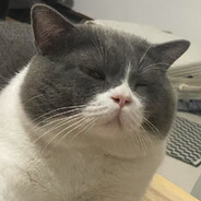 我要成为旮旯给木糕手