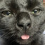 way's avatar