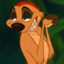 Timon