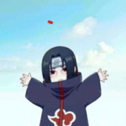 老鼠爱大米prime