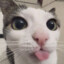 WaWaHELPER