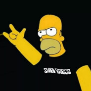 СЫН СОВМЕСТНОГО РЕШЕНИЯ