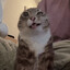 blehh's avatar