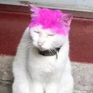 火龙果染头变成火龙