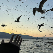 给予小粥偏爱与温柔