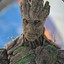 Groot