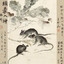 real ☆ (chinese rats)