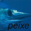 Peixe