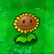 阳光给多了是不是