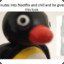 Pingu