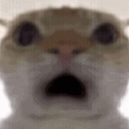 Enes's avatar
