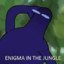 Enigma in the Jungle