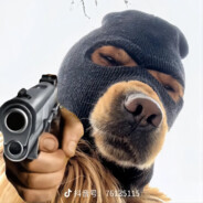 汪汪队第一突破手