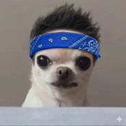 Swayy