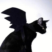 纪野无理kinomuri