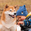cabron-