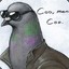 Pigeon^