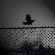 Crow