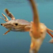 听说美金涨了，你看看我的英金涨没涨