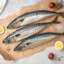Mackerel