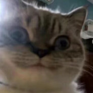 汤姆zzzzzzzzzzzzzz