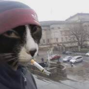 EL PUÑALA avatar