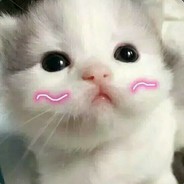 你恰不恰小饼干