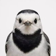 姐的温度，零下八度