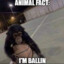 Animal Fact: I'm Ballin'