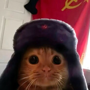 инспектор кот