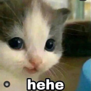 Šalna