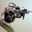 Sparrow with a machine gun