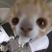 极限挑战-罗志祥