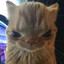 catsniffer123