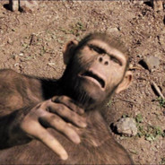 Australopithecus