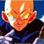 Vegeta Calvo The Best