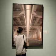 翻斗花园快枪手